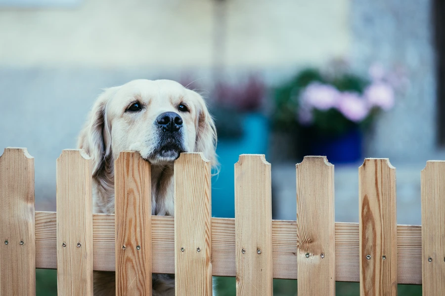 Professional Wood Fencing Gloucester, MA
